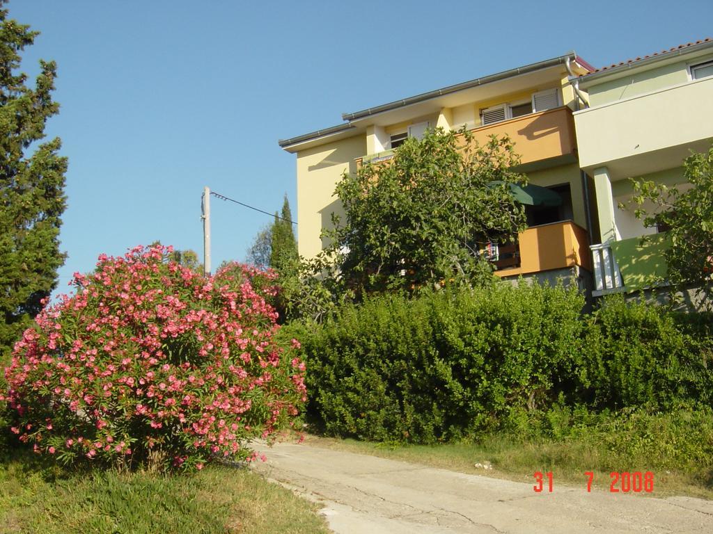 Apartments Prahovic Ždrelac 외부 사진