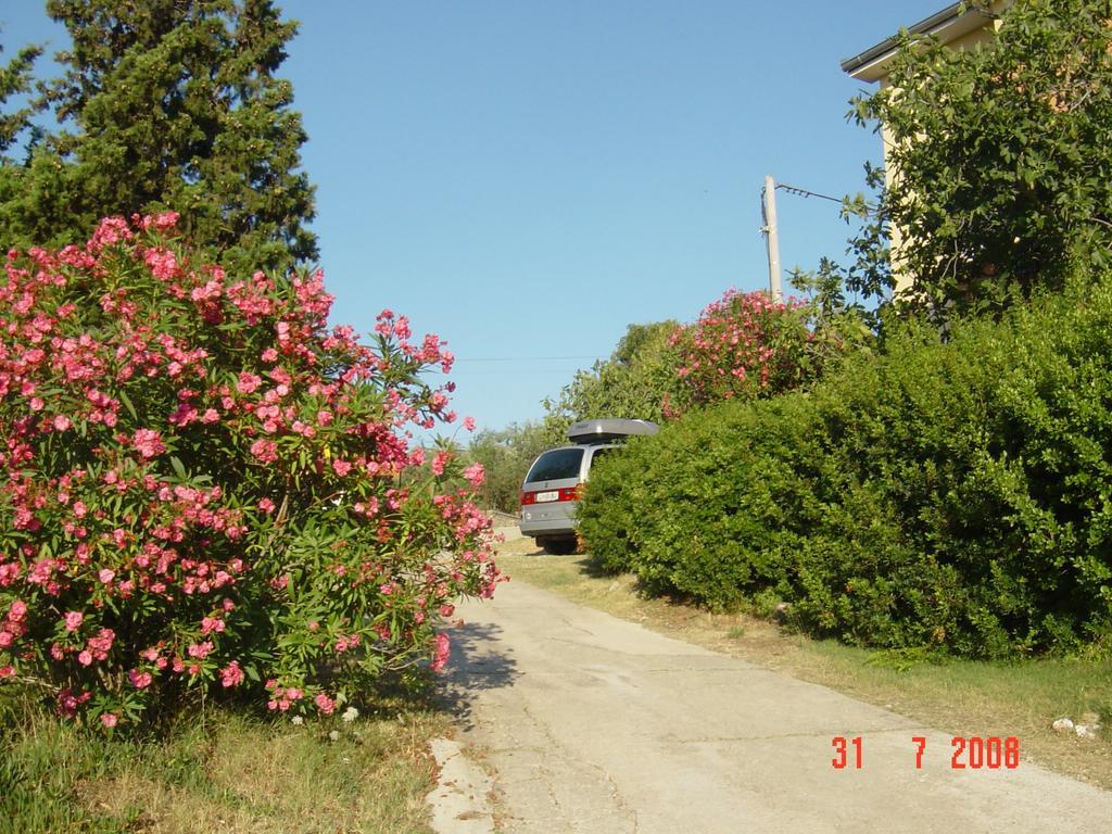 Apartments Prahovic Ždrelac 외부 사진